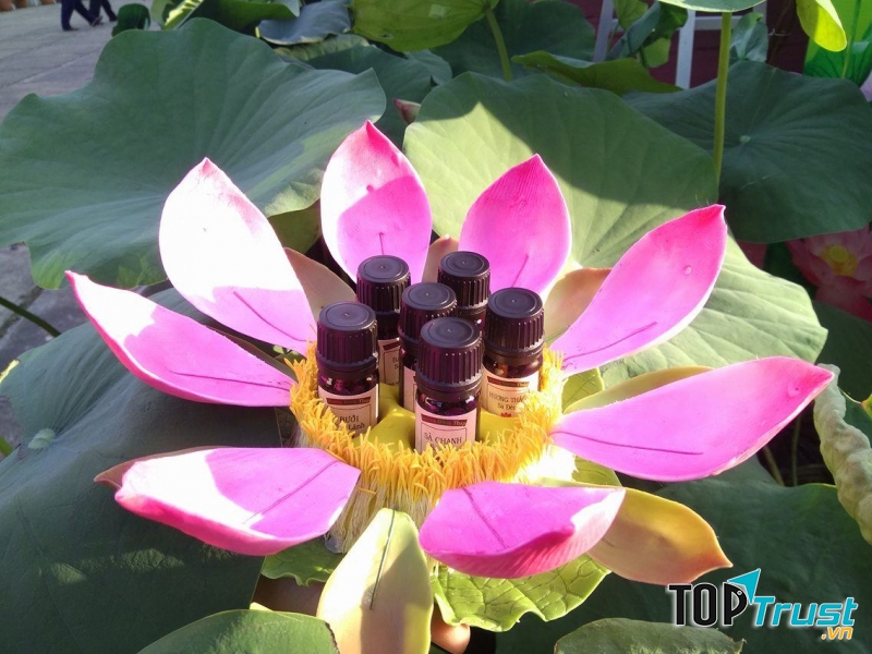 địa chỉ bán tinh dầu tràm chất lượng và uy tín nhất tại Đồng Tháp