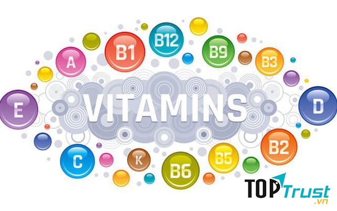 địa chỉ bán Vitamin chất lượng, uy tín nhất tại Hà Nội