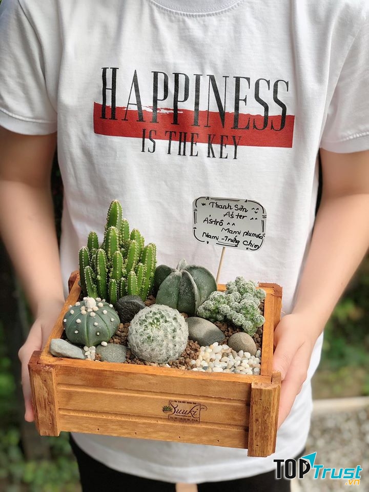 Địa chỉ bán xương rồng đẹp nhất TP. Buôn Ma Thuột