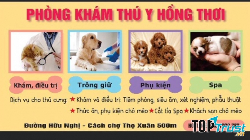 địa chỉ chăm sóc sức khỏe cho thú cưng tại Quảng Ninh
