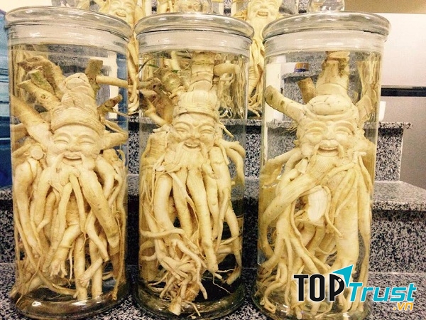 Địa chỉ chuyên bán đồ ngâm rượu ngon và uy tín nhất ở TP. HCM