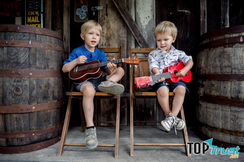 địa chỉ dạy đàn ukulele tốt nhất ở Hà Nội