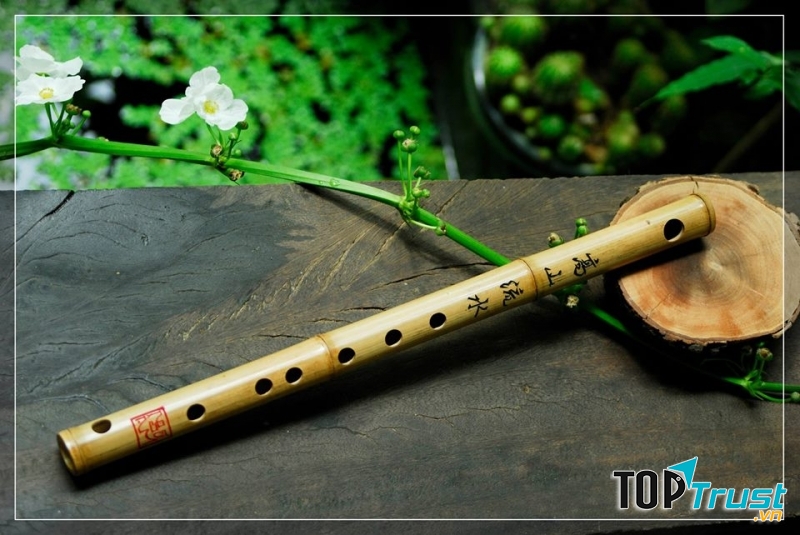 địa chỉ học thổi sáo ở TP. Hồ Chí Minh