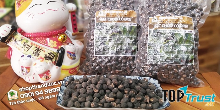 Địa chỉ mua bán hạt chuối cô đơn, chuối mồ côi tại TPHCM