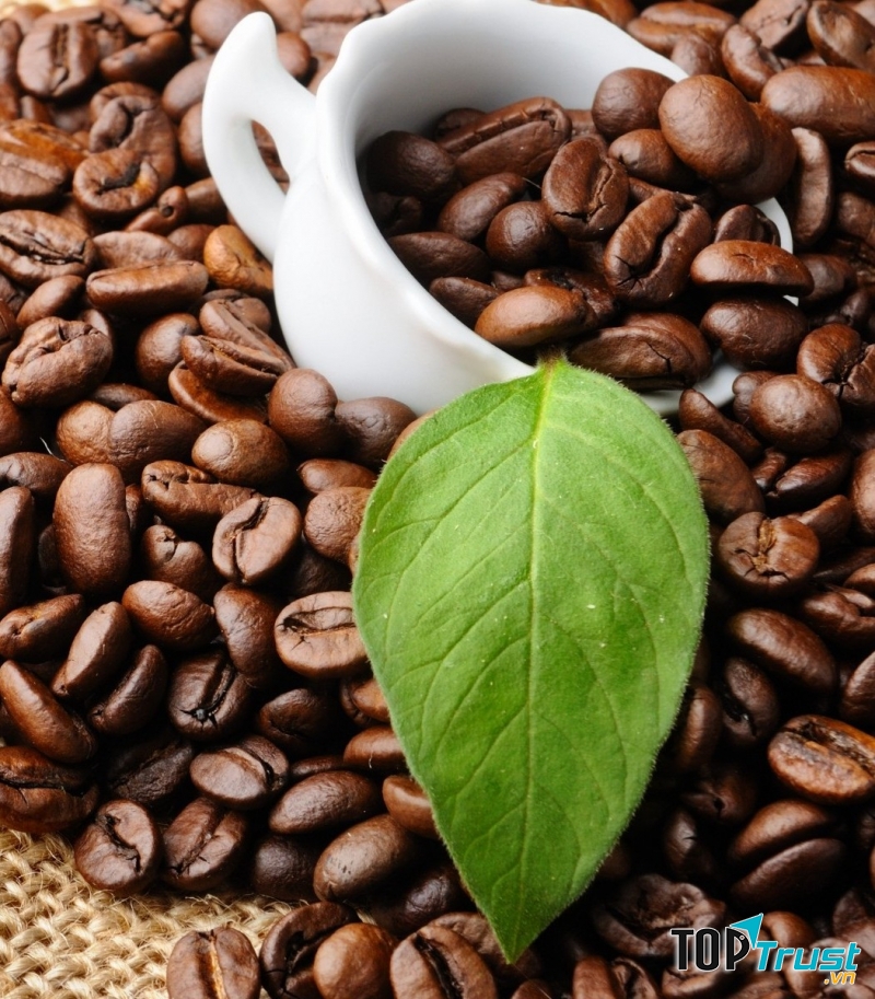 Địa chỉ mua cafe rang xay ngon tại Hà Nội