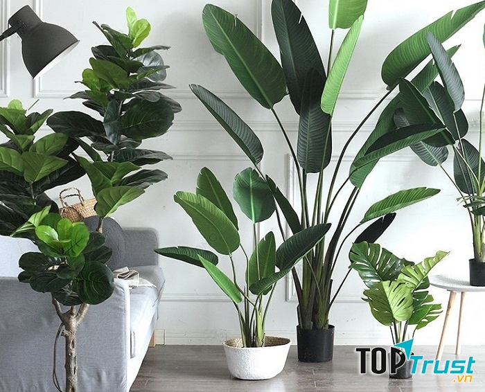 địa chỉ mua cây giả đẹp và uy tín ở Hà Nội