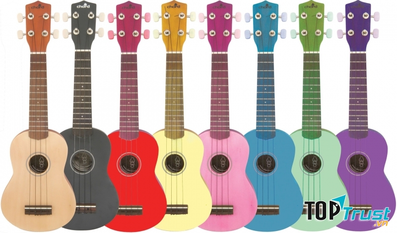 Địa chỉ mua đàn Ukulele chất lượng và giá tốt tại TPHCM