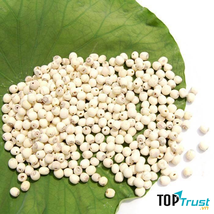 Địa chỉ mua hạt sen khô chất lượng, uy tín tại Hà Nội