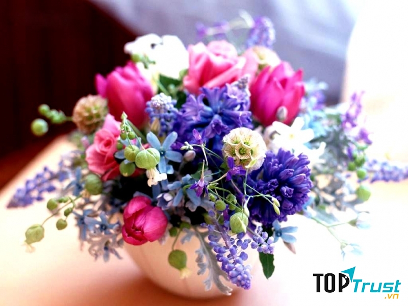 Địa chỉ mua hoa tươi giá rẻ nhất tại Quảng Ninh