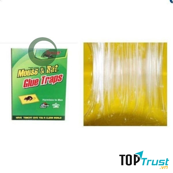 Địa chỉ mua keo dính chuột tốt nhất TP. Hồ Chí Minh