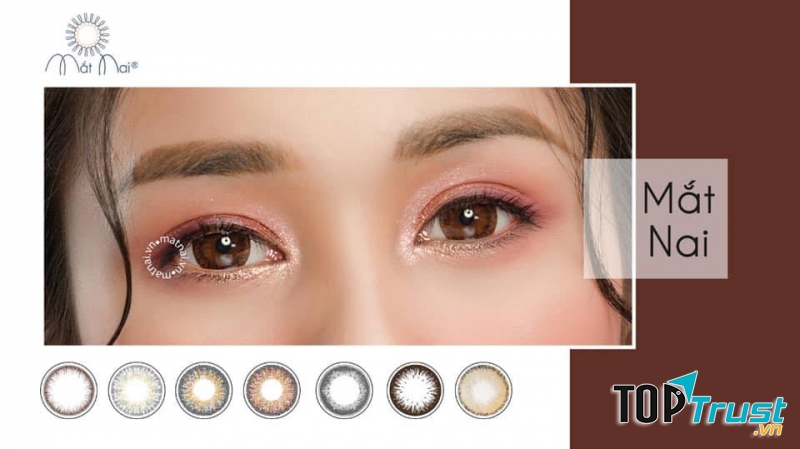 địa chỉ mua kính áp tròng uy tín và chất lượng nhất TP. Uông Bí, Quảng Ninh