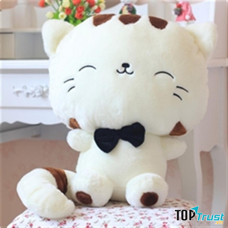 Địa chỉ mua mèo bông đẹp và chất lượng nhất Hà Nội