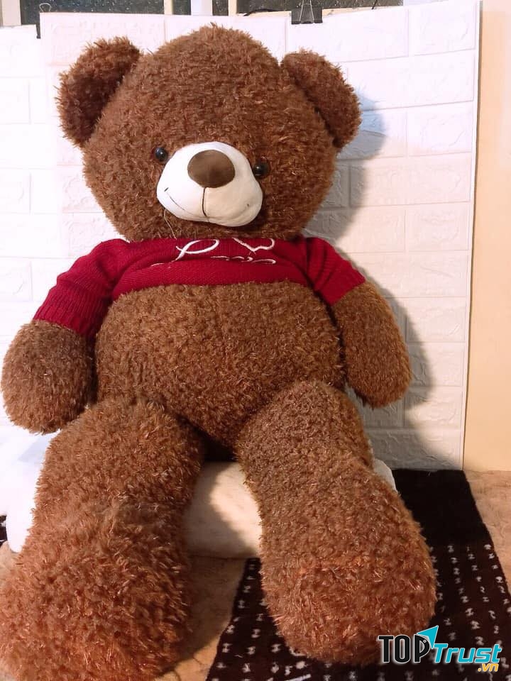 Địa chỉ mua thú nhồi bông đẹp và chất lượng nhất Ninh Bình