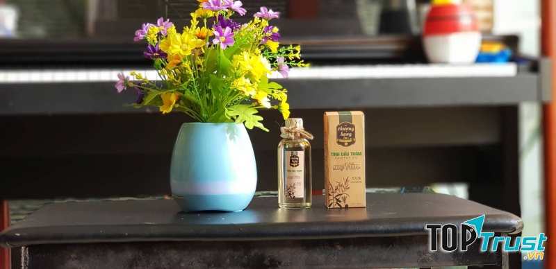 địa chỉ mua tinh dầu tràm uy tín, chất lượng nhất tại Quy Nhơn