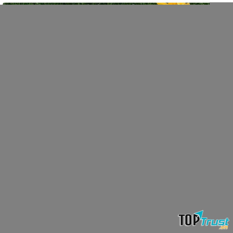 Địa chỉ nhận làm bánh sinh nhật rau câu ngon và chất lượng nhất Vũng Tàu