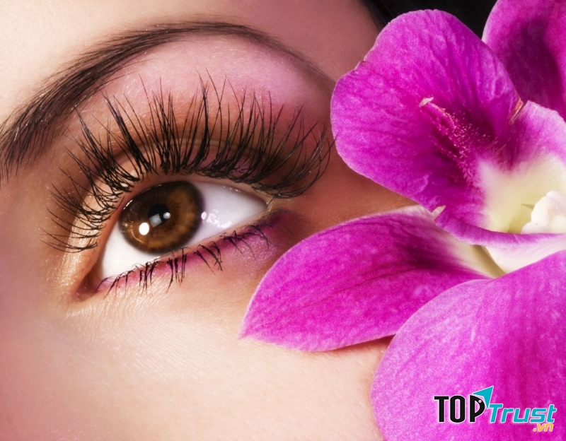 Địa chỉ nối mi đẹp và uy tín nhất TP.Uông Bí, Quảng Ninh