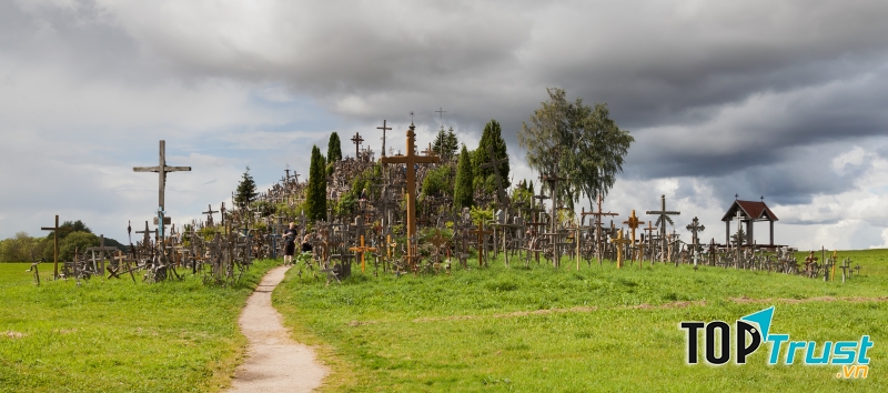 Địa danh bỏ hoang ở Đà Lạt chụp ảnh sống ảo đẹp nhất