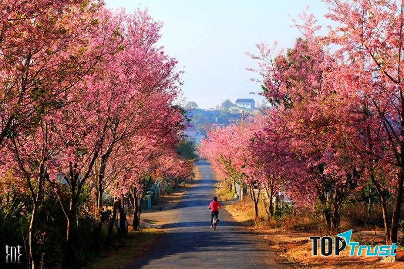 Địa điểm ăn uống chất lượng nhất Đà Lạt