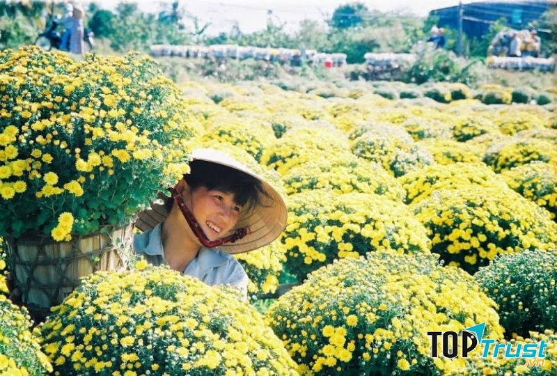 địa điểm ăn uống nổi tiếng khi du lịch đến thành phố hoa Sa Đéc