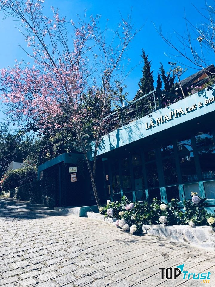 địa điểm checkin mới toanh năm 2020 ở Đà Lạt