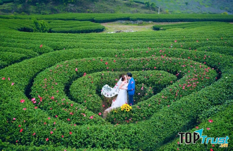 địa diểm chụp ảnh cưới đẹp và lãng mạn nhất tại Mộc Châu
