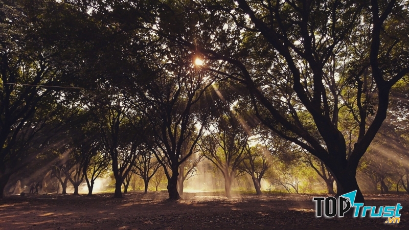 địa điểm chụp ảnh đẹp nhất ở Hà Nội vào mùa hè