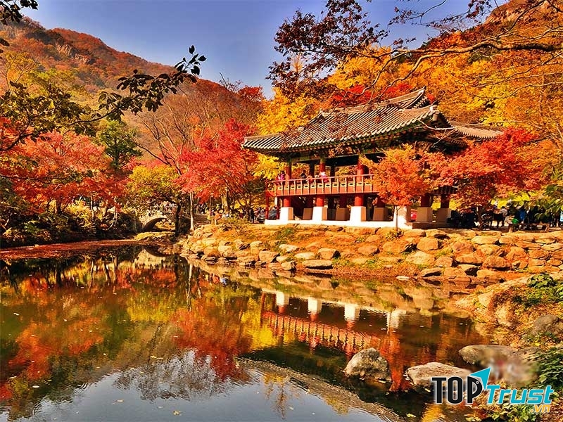 địa điểm chụp hình đẹp nhất ở Seoul, Hàn Quốc