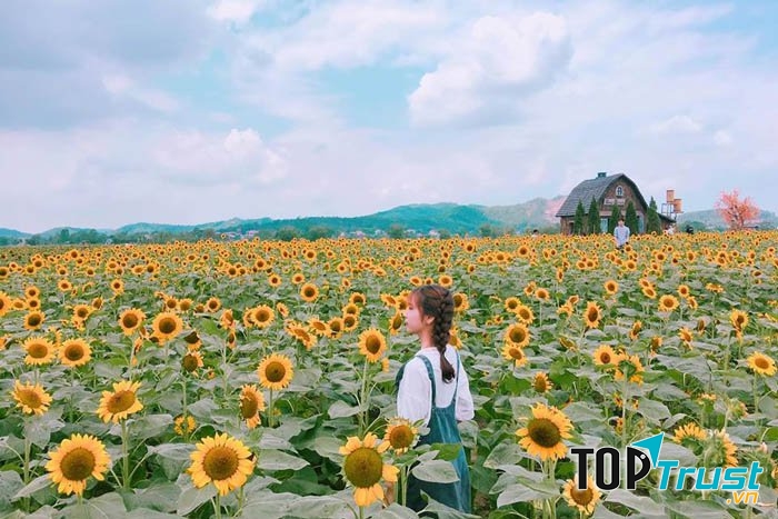 Đia điểm chụp selfie đẹp nhất cho giới trẻ tại Bắc Giang