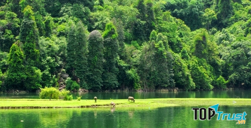 địa điểm đẹp nhất bạn nên ghé thăm khi đến Bắc Kạn