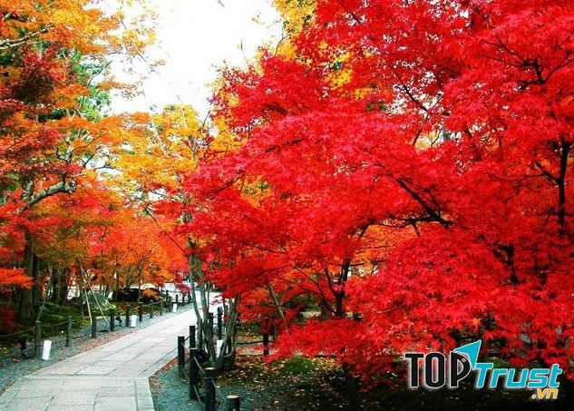 địa điểm du lịch hấp dẫn ở Hải Phòng