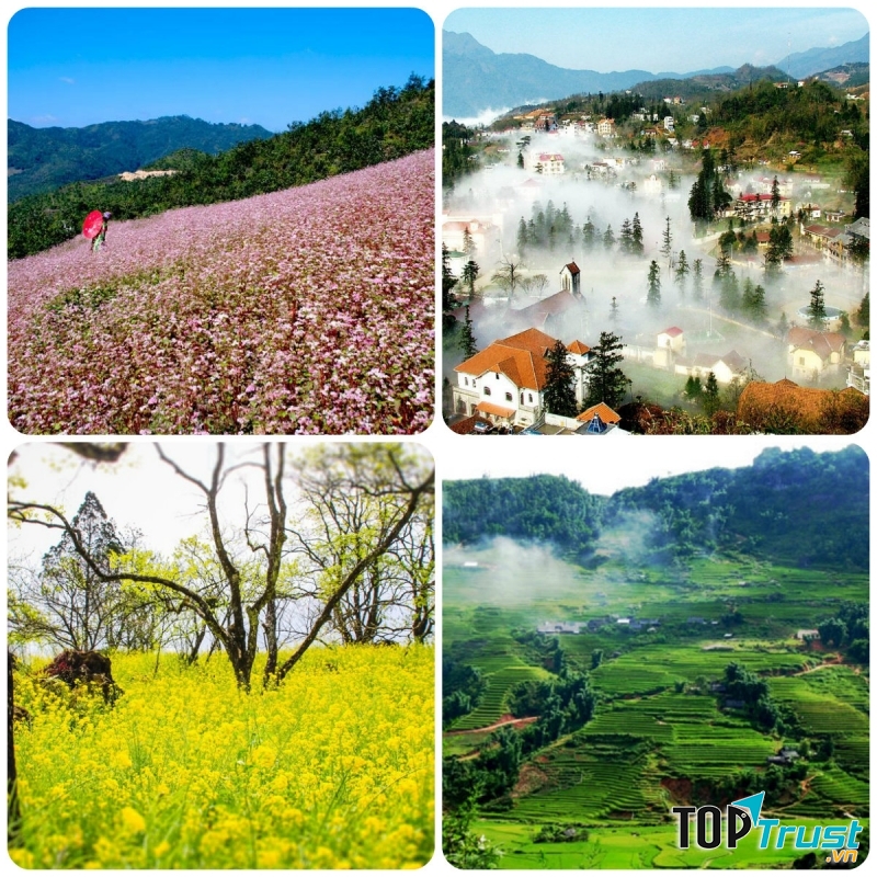 địa điểm du lịch mùa đông ở miền Bắc bạn không nên bỏ qua