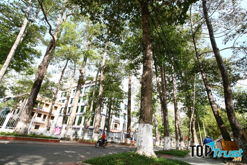 Địa điểm hấp dẫn mà bạn nên tới nhất tại Trà Vinh