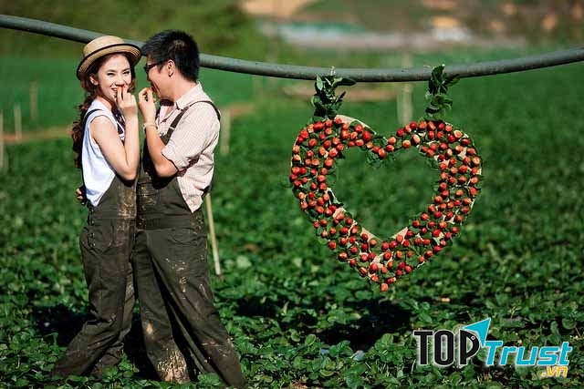 Địa điểm hưởng tuần trăng mật đẹp nhất ở Việt Nam