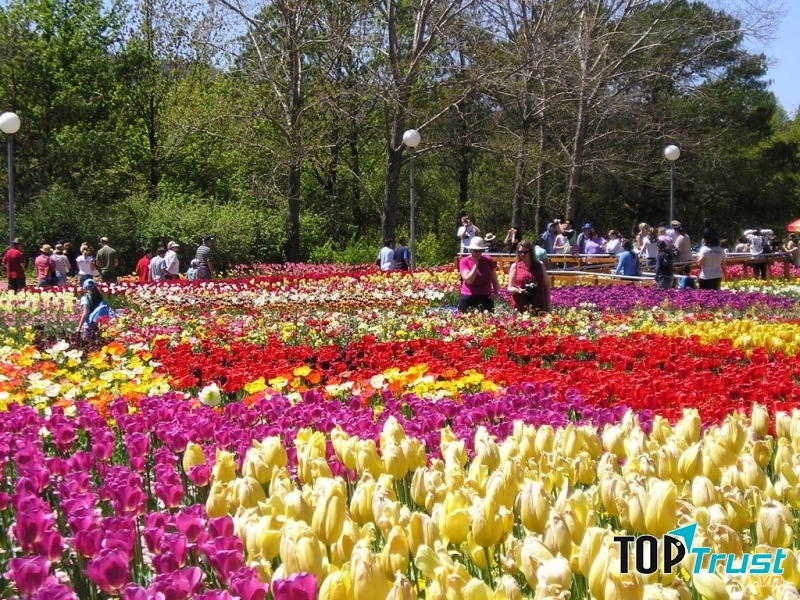 địa điểm lãng mạn nhất Việt Nam dành cho các cặp tình nhân