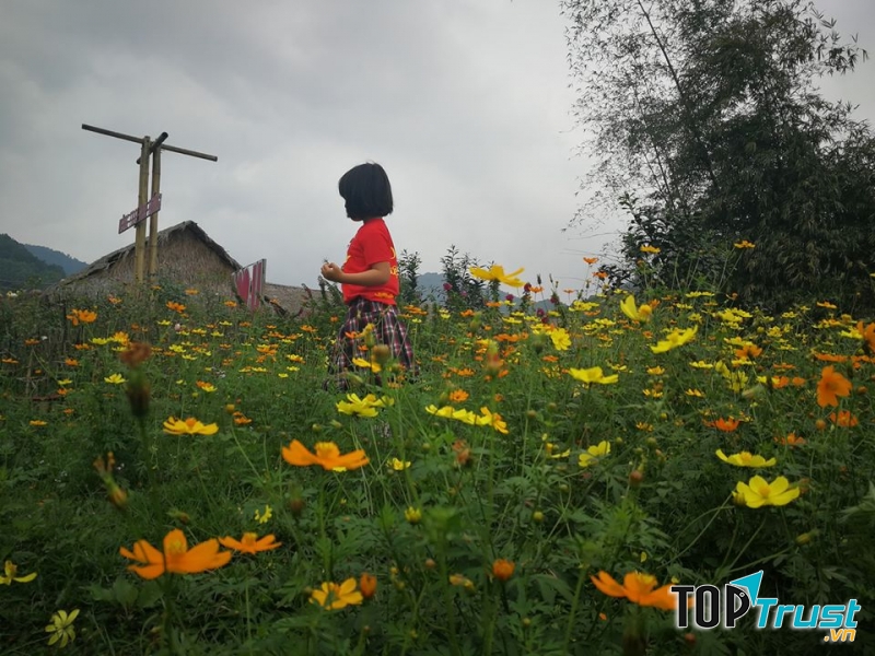 địa điểm tổ chức dã ngoại tuyệt vời nhất ở Hà Tĩnh nhân ngày 8/3