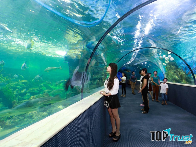 địa điểm vui chơi cuối tuần cho cả gia đình cách Times chưa đến 10km