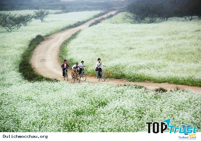địa điểm vui chơi thú vị nhất tại Mộc Châu ngày 8/3