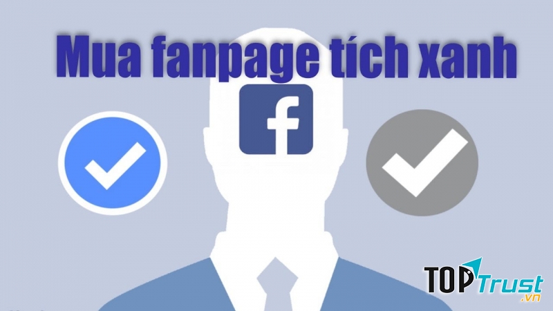 Dịch vụ cho thuê Fanpage Tích Xanh uy tín nhất hiện nay