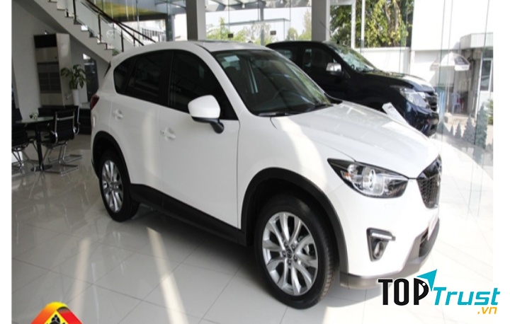 Dịch vụ cho thuê xe du lịch uy tín và chất lượng nhất ở Nha Trang