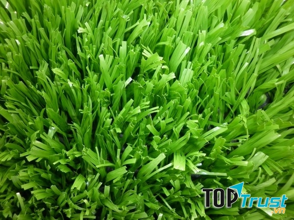 Dịch vụ cung cấp cỏ nhân tạo giá rẻ nhất tại TP.HCM