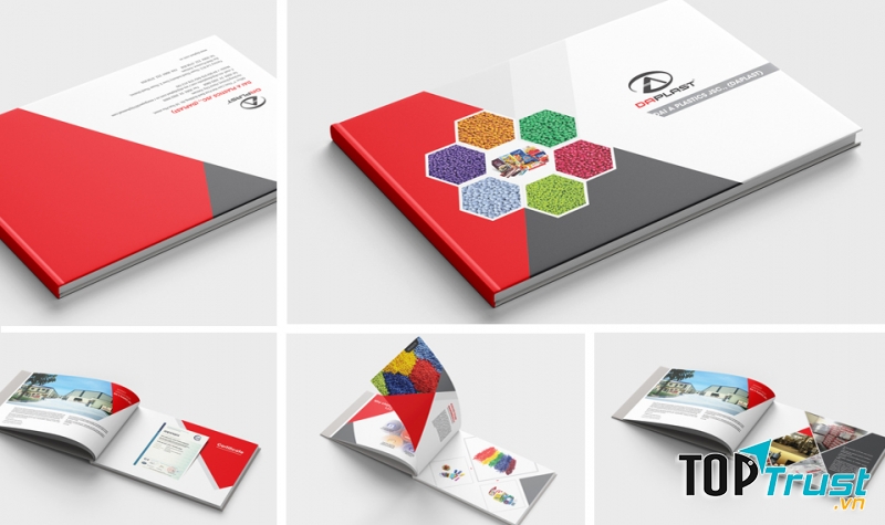 Dịch vụ in catalogue giá rẻ, chất lượng nhất tại Tp HCM