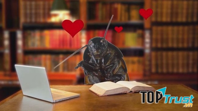 Dịch vụ ''quái đản'' nhất thế giới