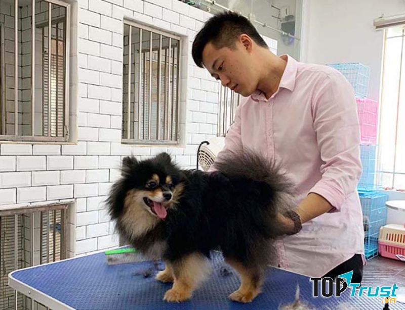 Dịch vụ spa thú cưng tốt nhất tại Bình Dương