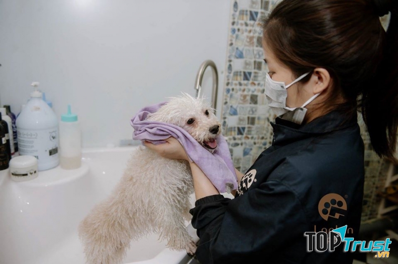 Dịch vụ spa thú cưng tốt nhất tại quận Hoàn Kiếm, Hà Nội