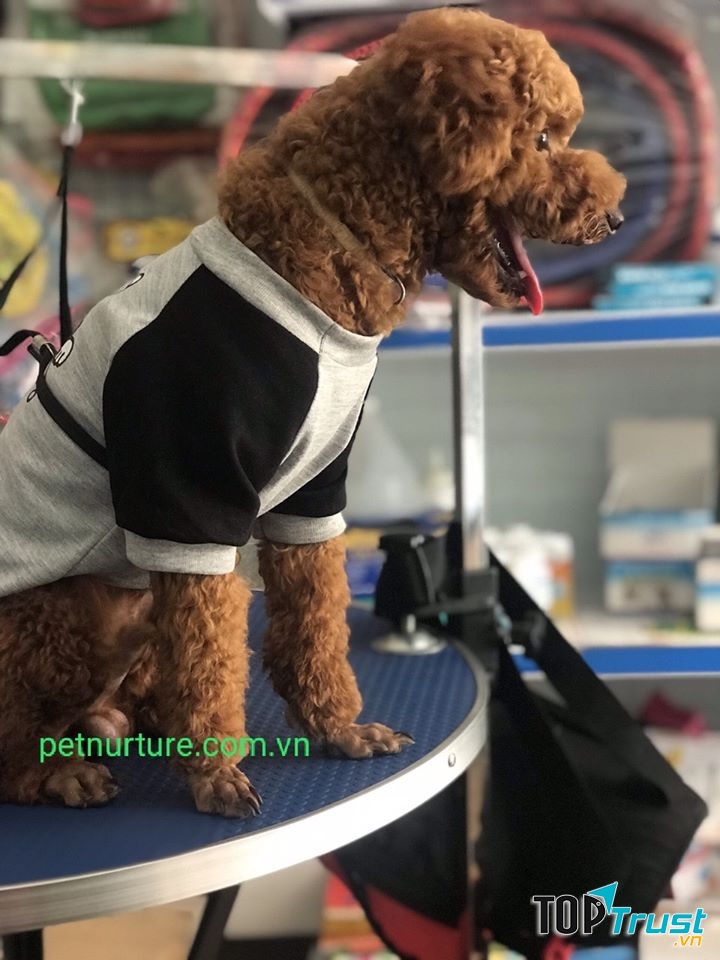 Dịch vụ spa thú cưng tốt nhất tại quận Thủ Đức, TP. HCM