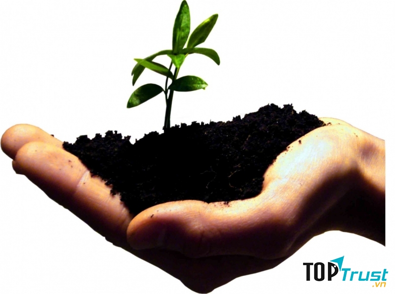 Dịch vụ thành lập công ty tại Đà Nẵng uy tín nhất