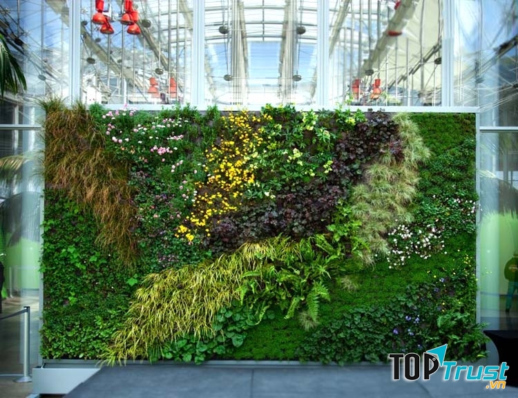 Dịch vụ trồng rau sạch tại nhà ở Đà Nẵng uy tín nhất