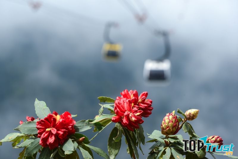 Điểm đến đẹp nhất theo mùa tại Việt Nam