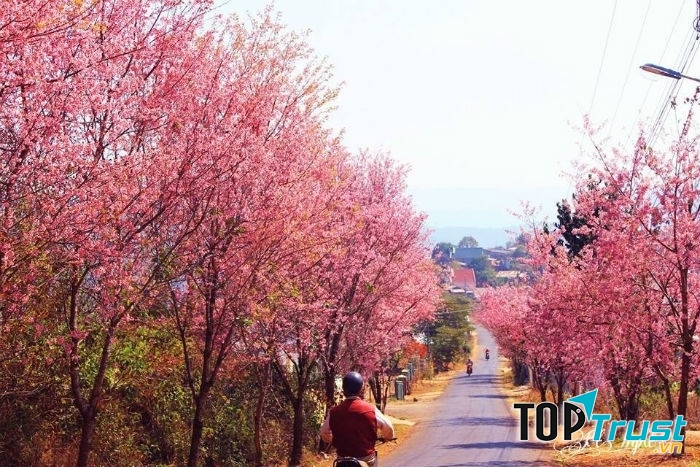 điểm đến ở Việt Nam không thể bỏ lỡ trong năm 2017