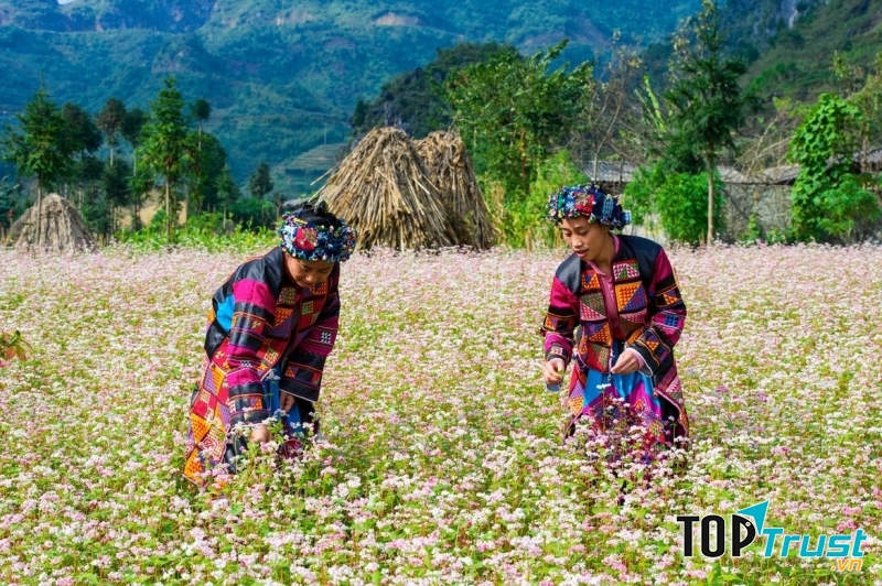 điểm đến thu hút nhiều du khách nước ngoài nhất tại Việt Nam